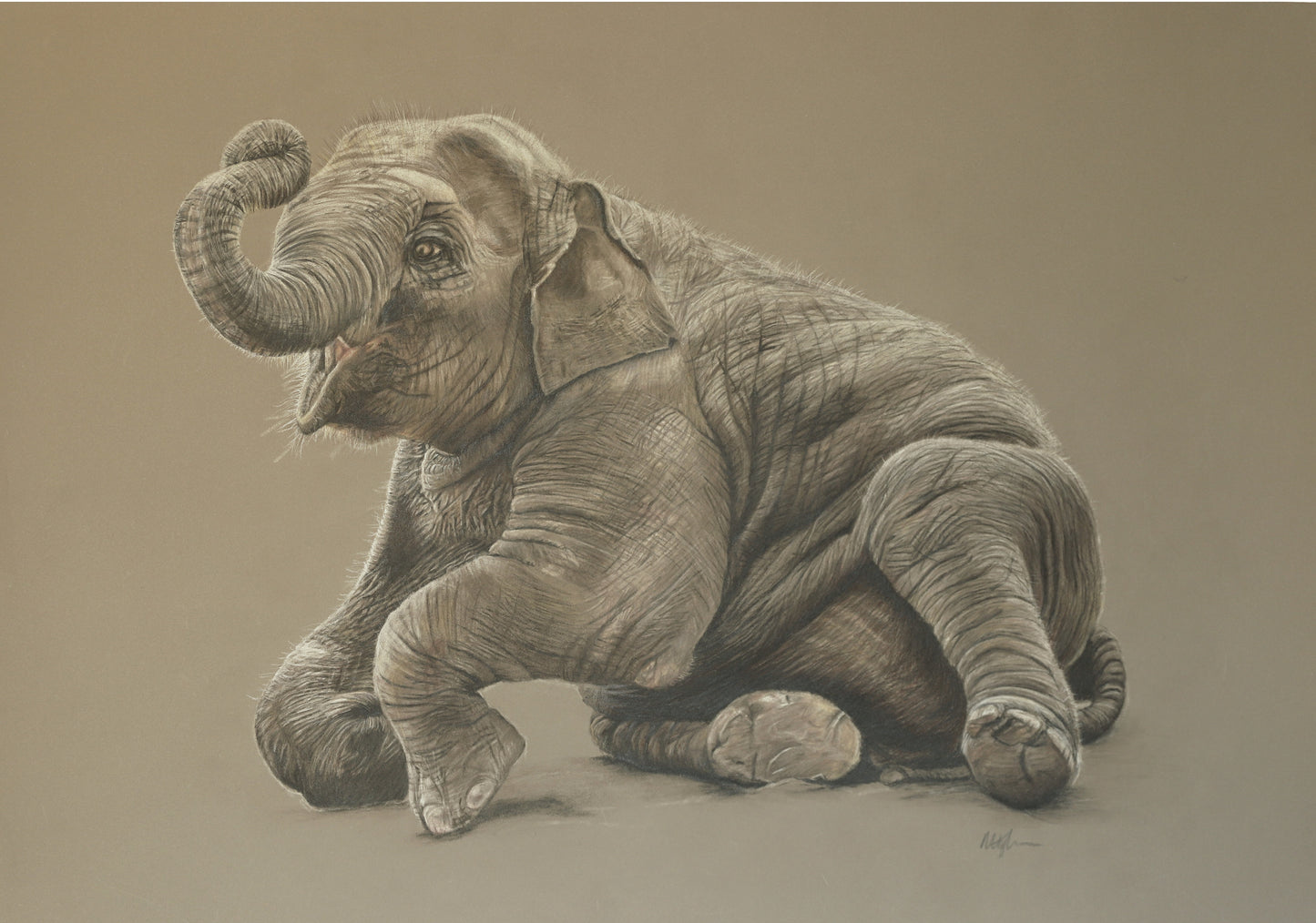 18 x 24 Colored Pencil Portrait (From $1000)