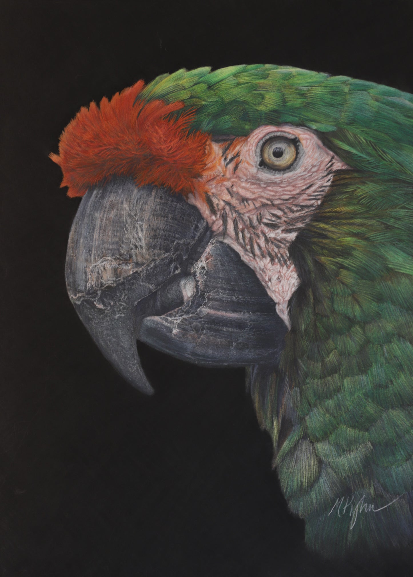 "Emerald Wings" (Parrot)