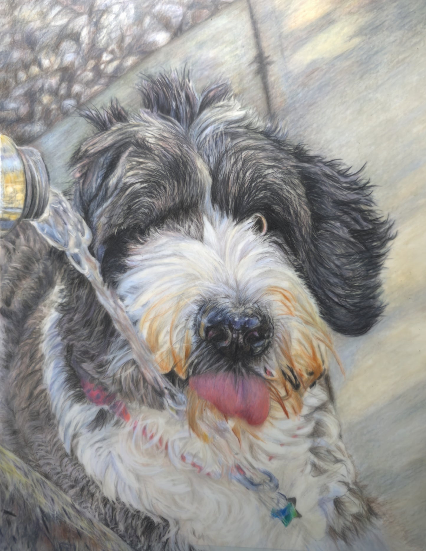 16 x 20 Colored Pencil Portrait (From $800)
